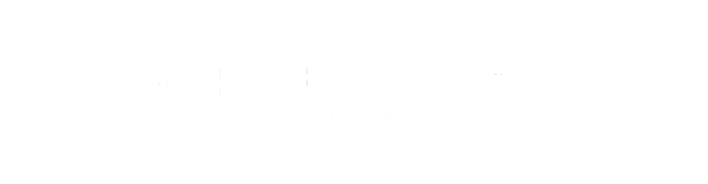 Partenaire Bouygues Telecom — fibre optique Orléans